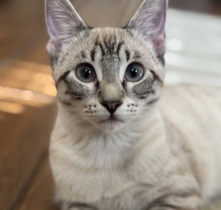 Photo of Yuki