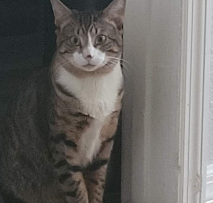 Photo of Dutchess