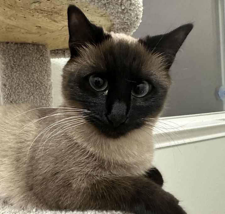 Photo of Beans