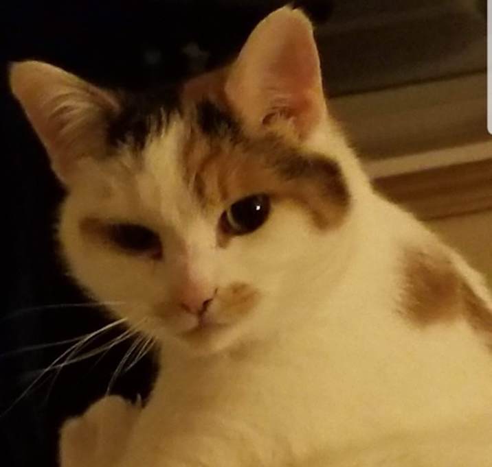 Photo of Candy