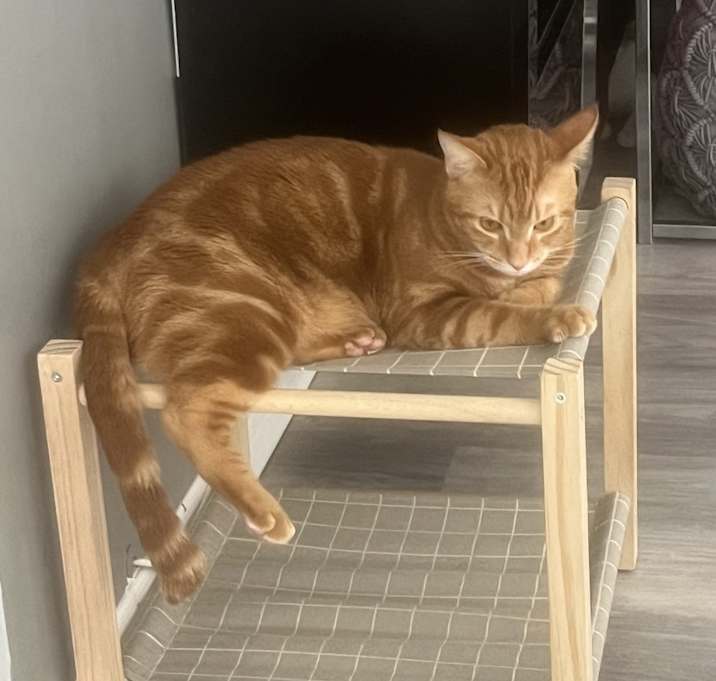 Photo of Gucci