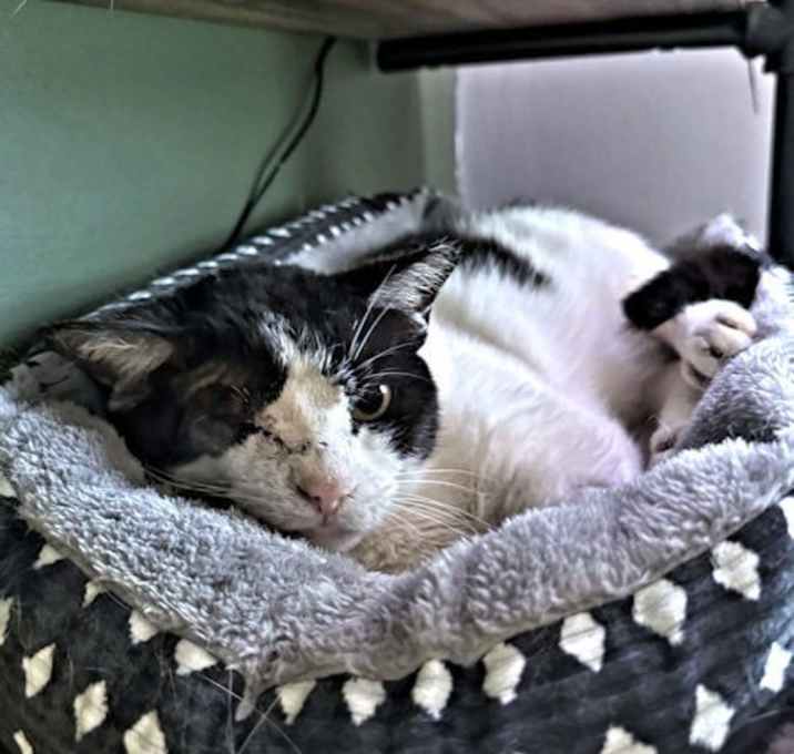 Photo of Wink