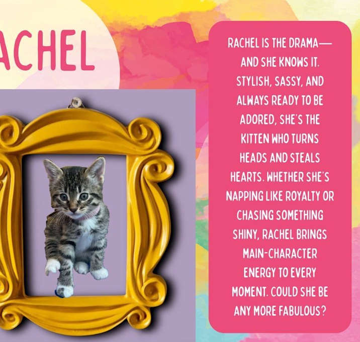 Photo of Rachel