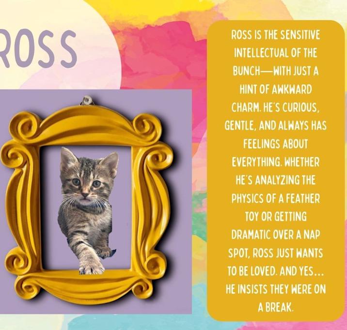 Photo of Ross