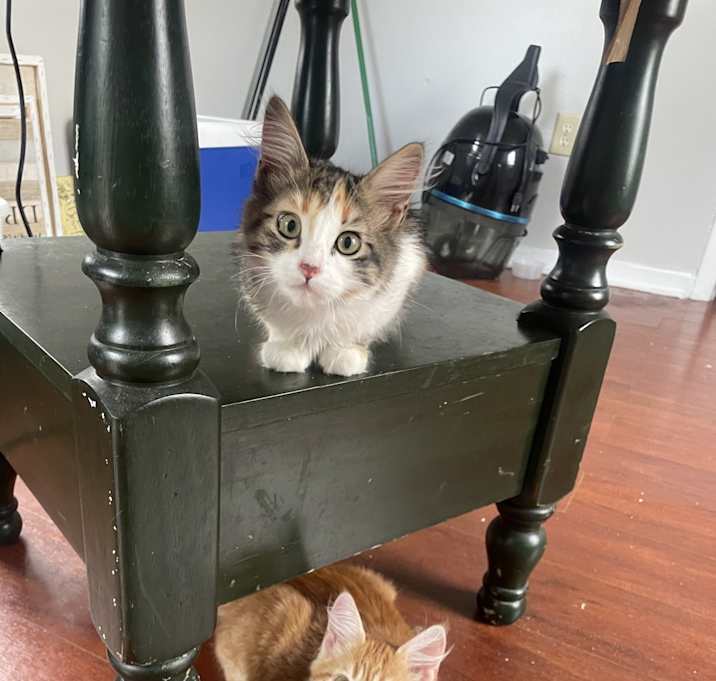 Photo of Garfield & Julie