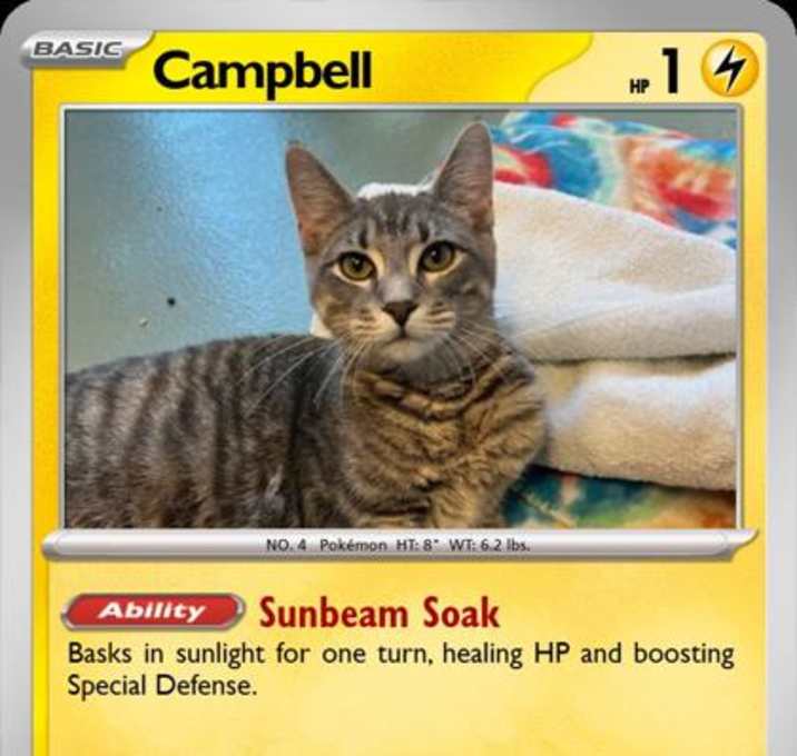Photo of Campbell