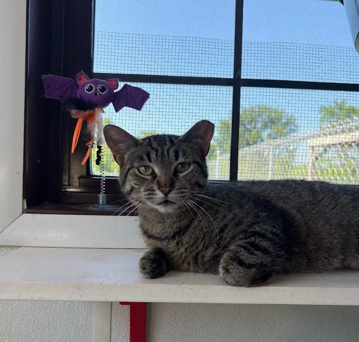 Photo of Chleo