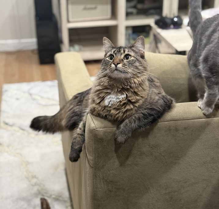 Photo of Luna