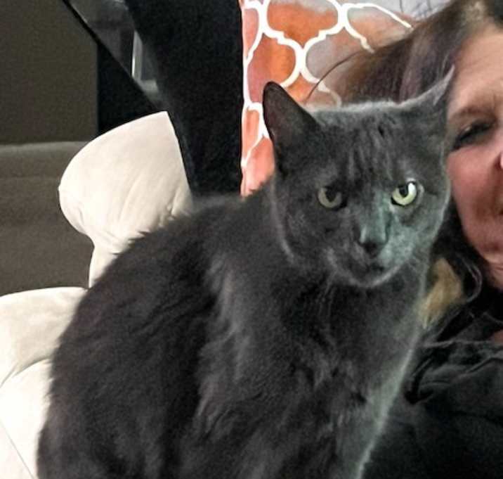 Photo of Kato