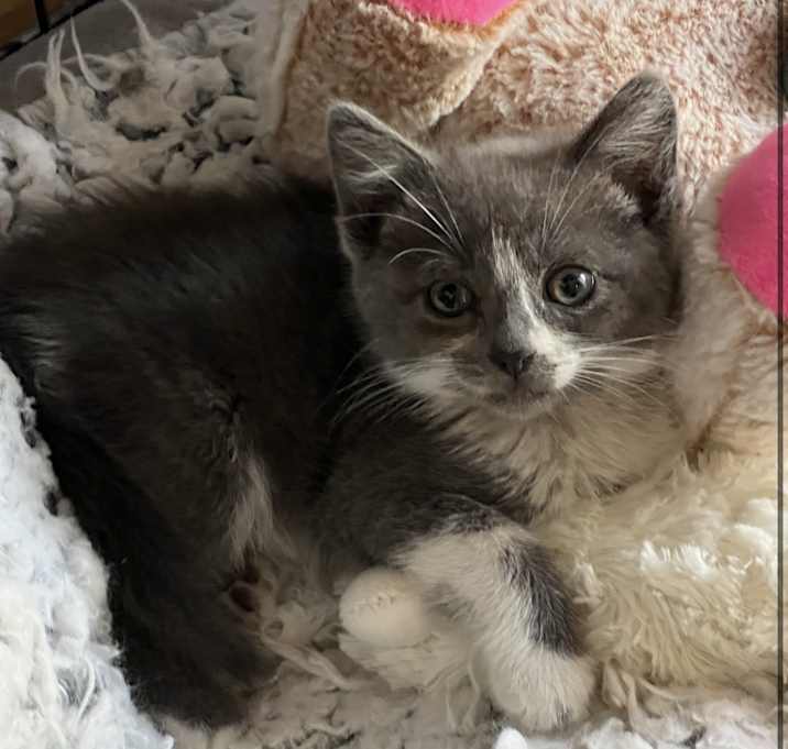 Photo of Ruby