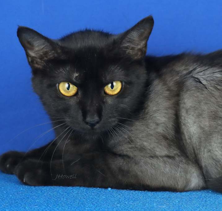 Photo of Anabel-013102T