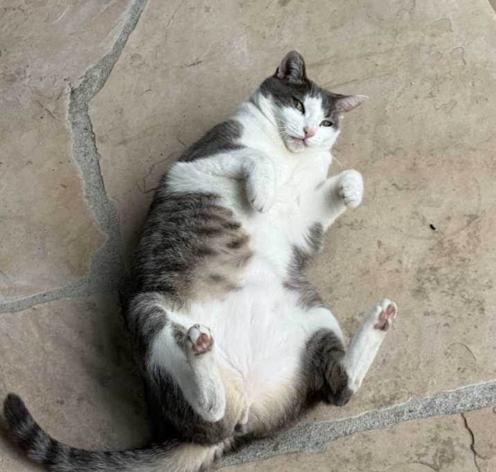 Photo of Gigi