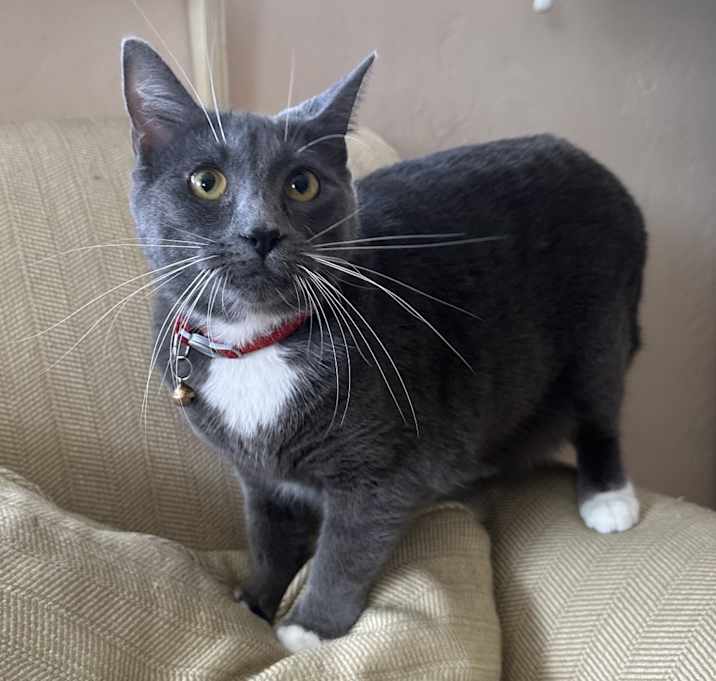 Photo of Zoe
