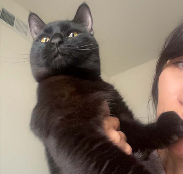 Photo of Monty