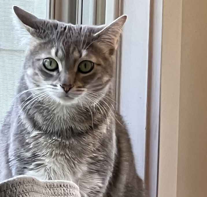Photo of Alice