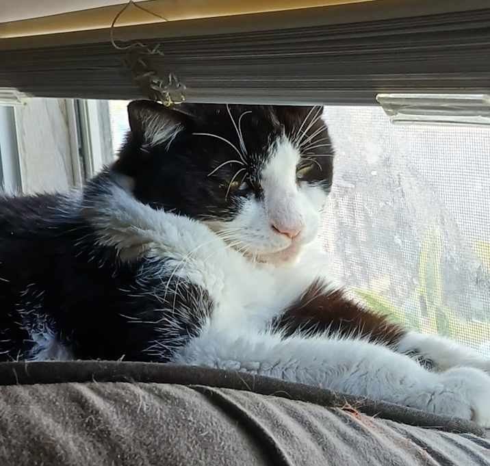Photo of Sammy