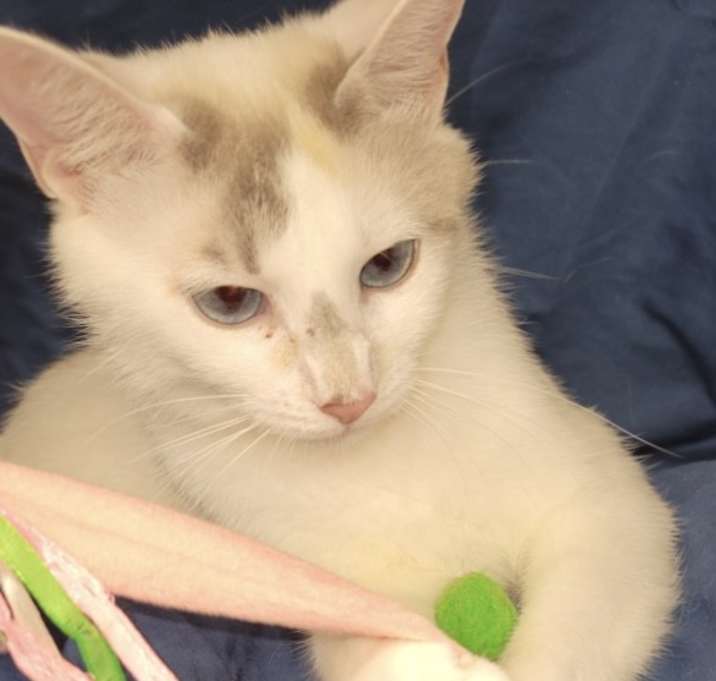Photo of Alice