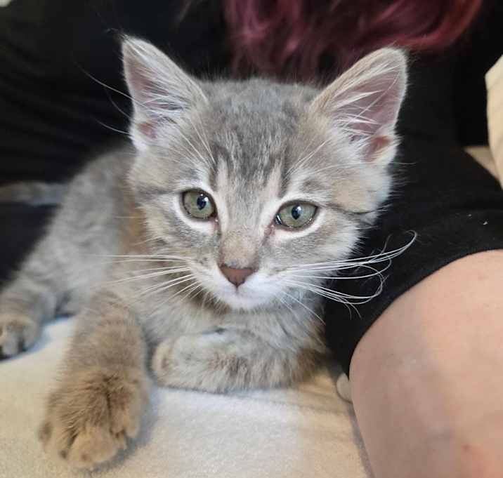 Photo of Sammi