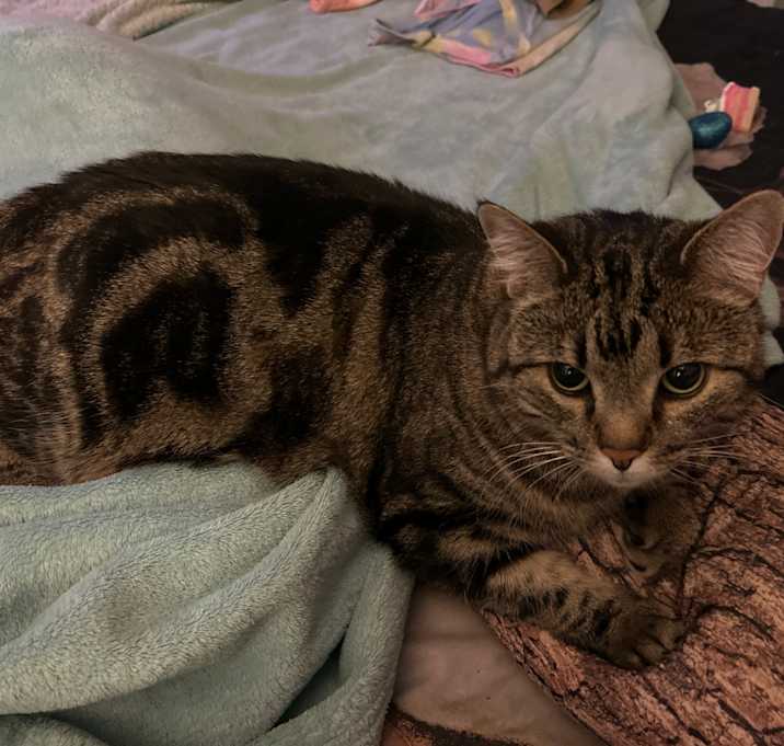 Photo of Roo