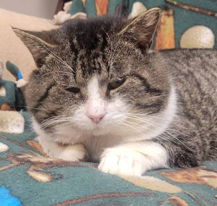 Photo of Barney