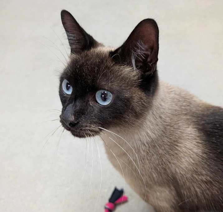 Photo of Binx SPONSORED
