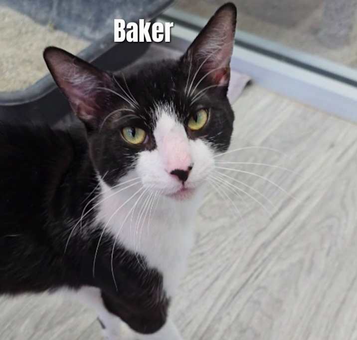 Photo of Baker