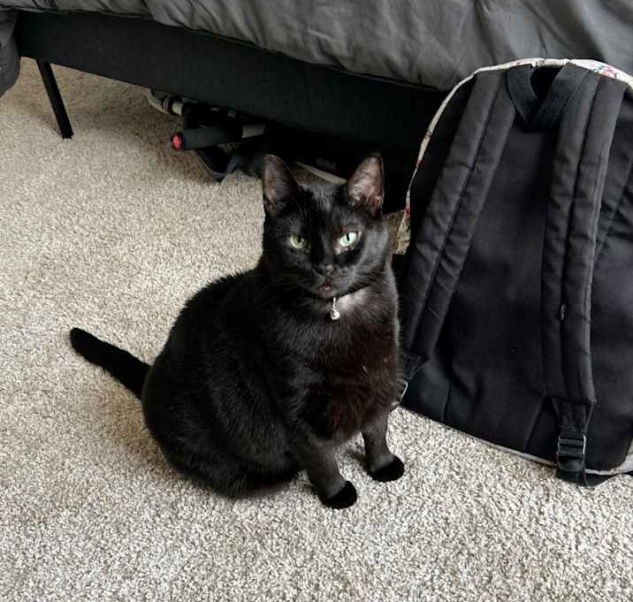 Photo of Nova