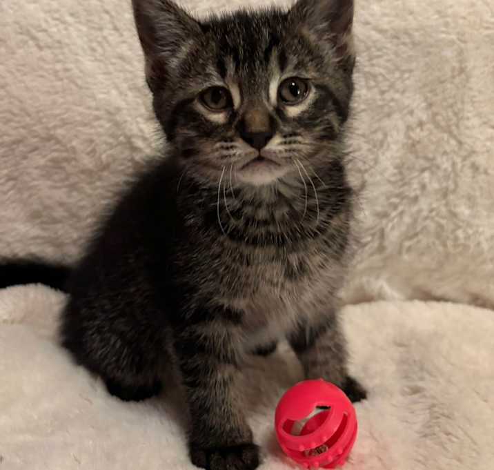 Photo of Lily