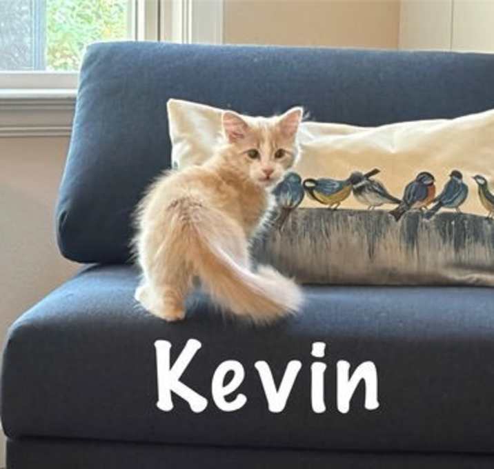 Photo of Kevin