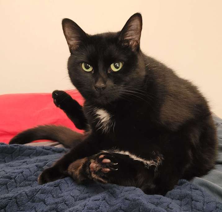 Photo of Luna