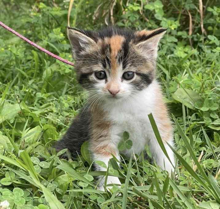 Photo of April