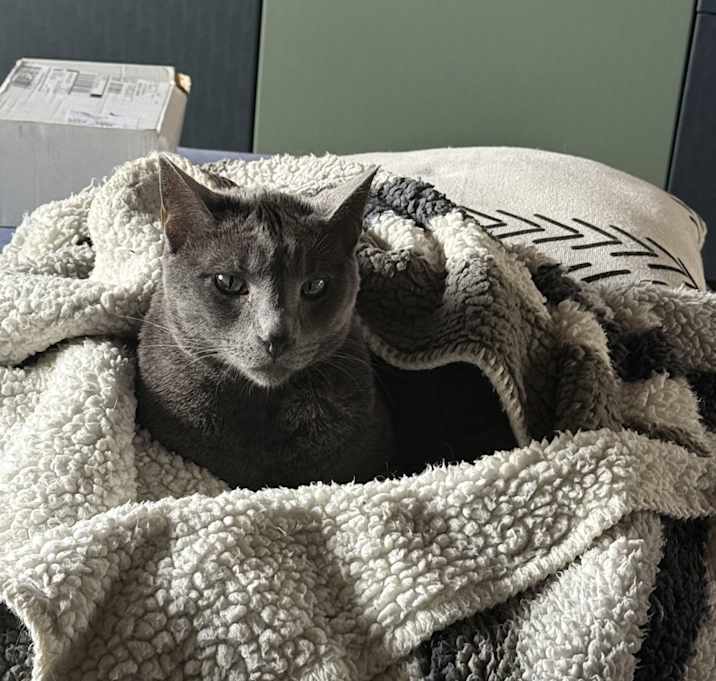 Photo of Buddha