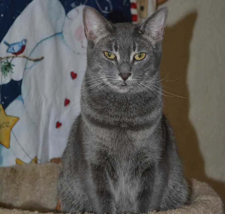 Photo of Kenzi