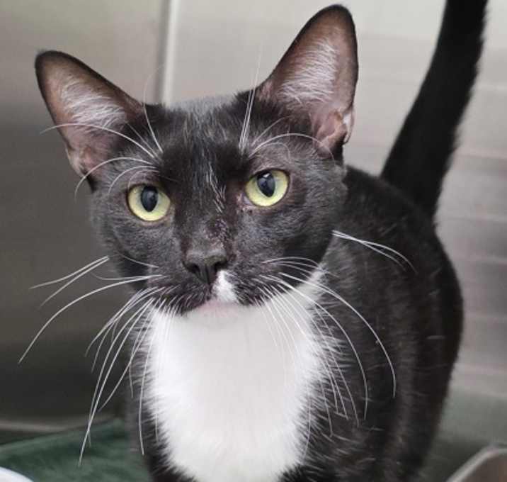 Photo of Tux