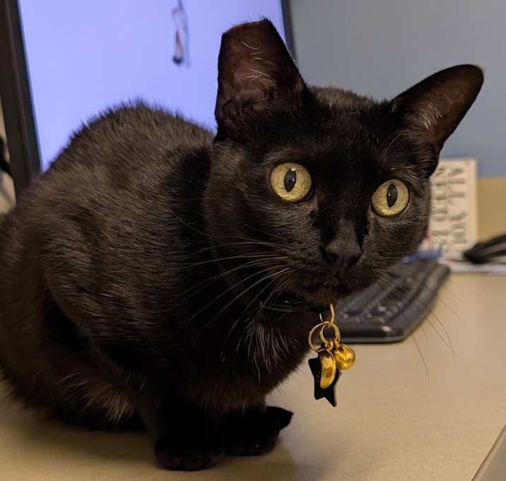 Photo of Ida
