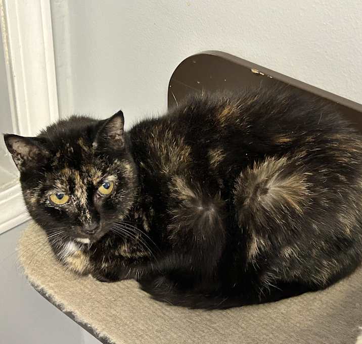 Photo of Olivia