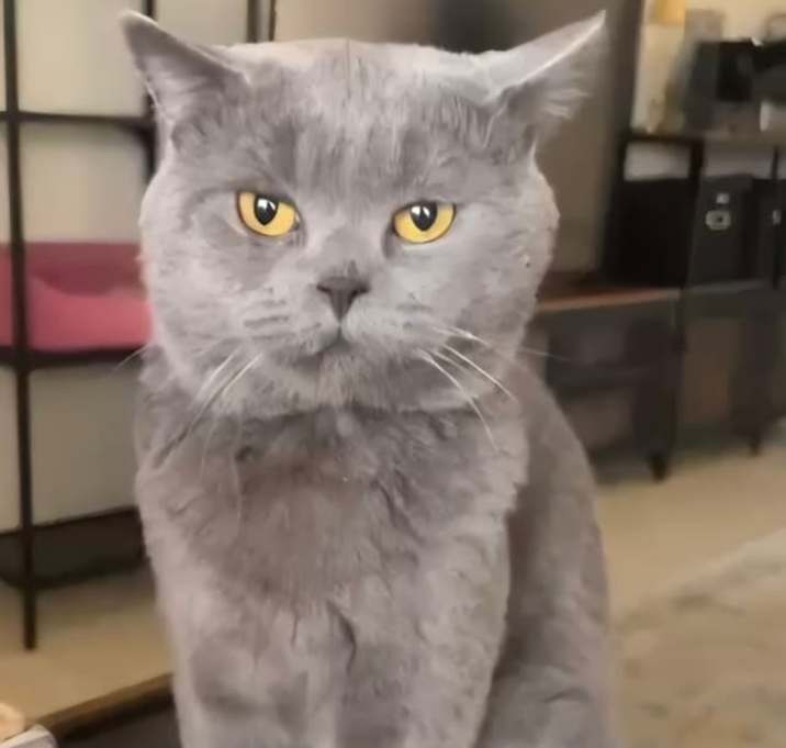 Photo of Neo