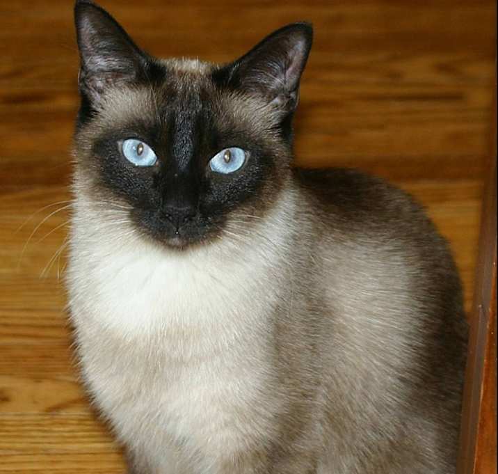Photo of Sophie