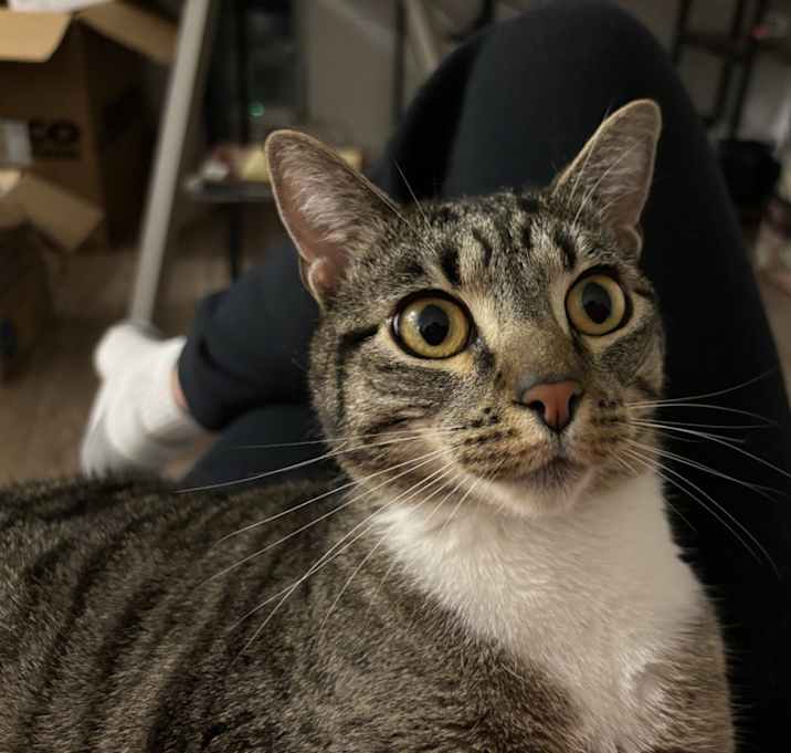 Photo of Jenny