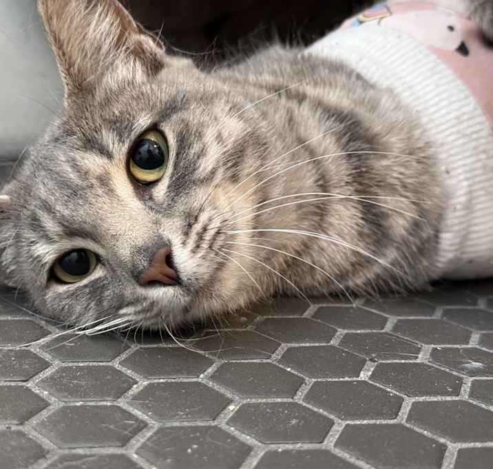 Photo of Susan