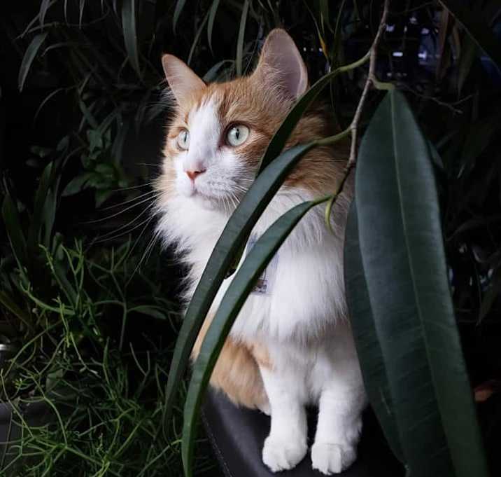 Photo of Jennay