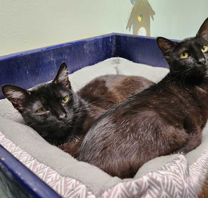 Photo of Hope & Faith