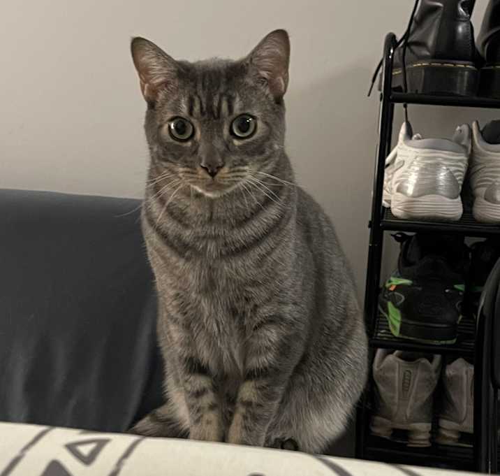 Photo of Lan