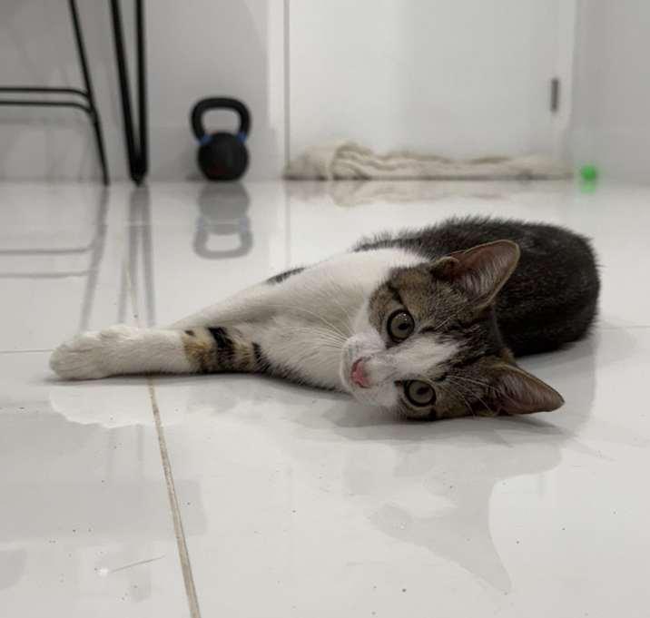 Photo of Eyeliner