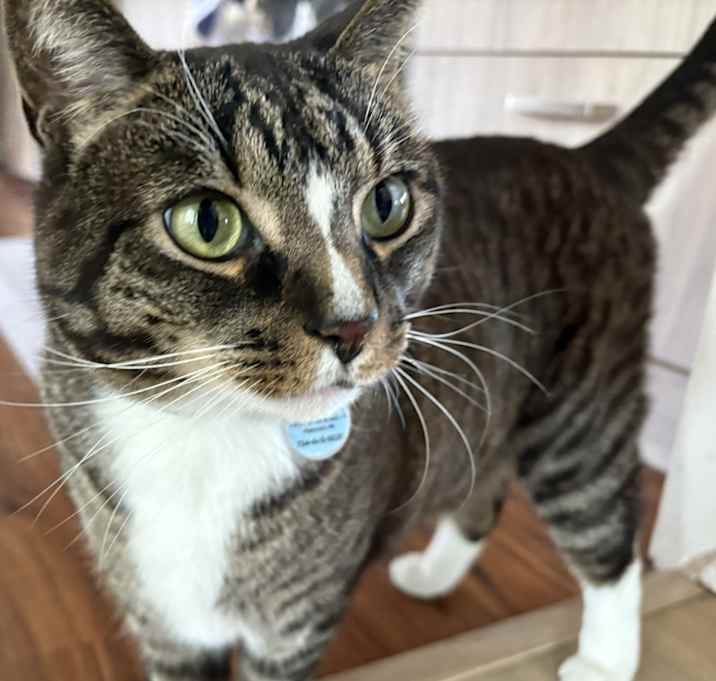 Photo of Otis