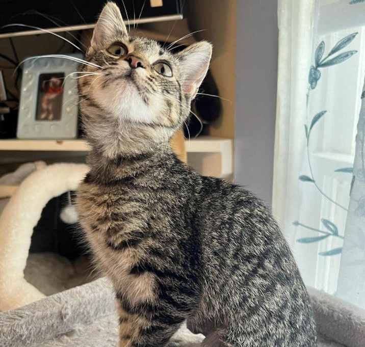 Photo of Sasha