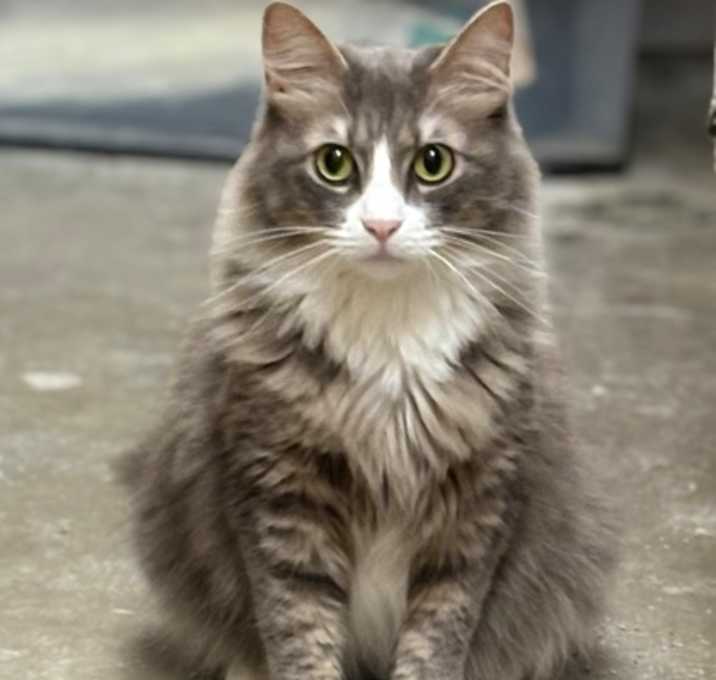 Photo of Winnie