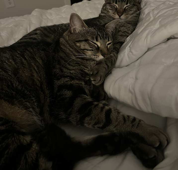 Photo of Blossom and Six