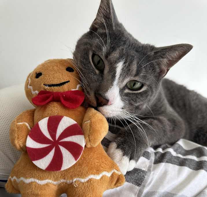 Photo of Bentley