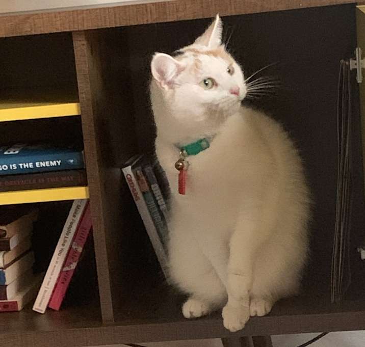 Photo of Monday
